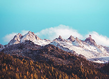 奇异果app在线登录-张镇麟对阵广东个人集锦回顾，全场得到23分3板2断